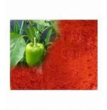 Fresh Capsicum Powder